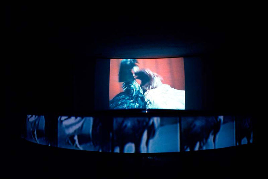 Exhausto aún puede pelear (2000). Galería Santa Fe. Video instalación.