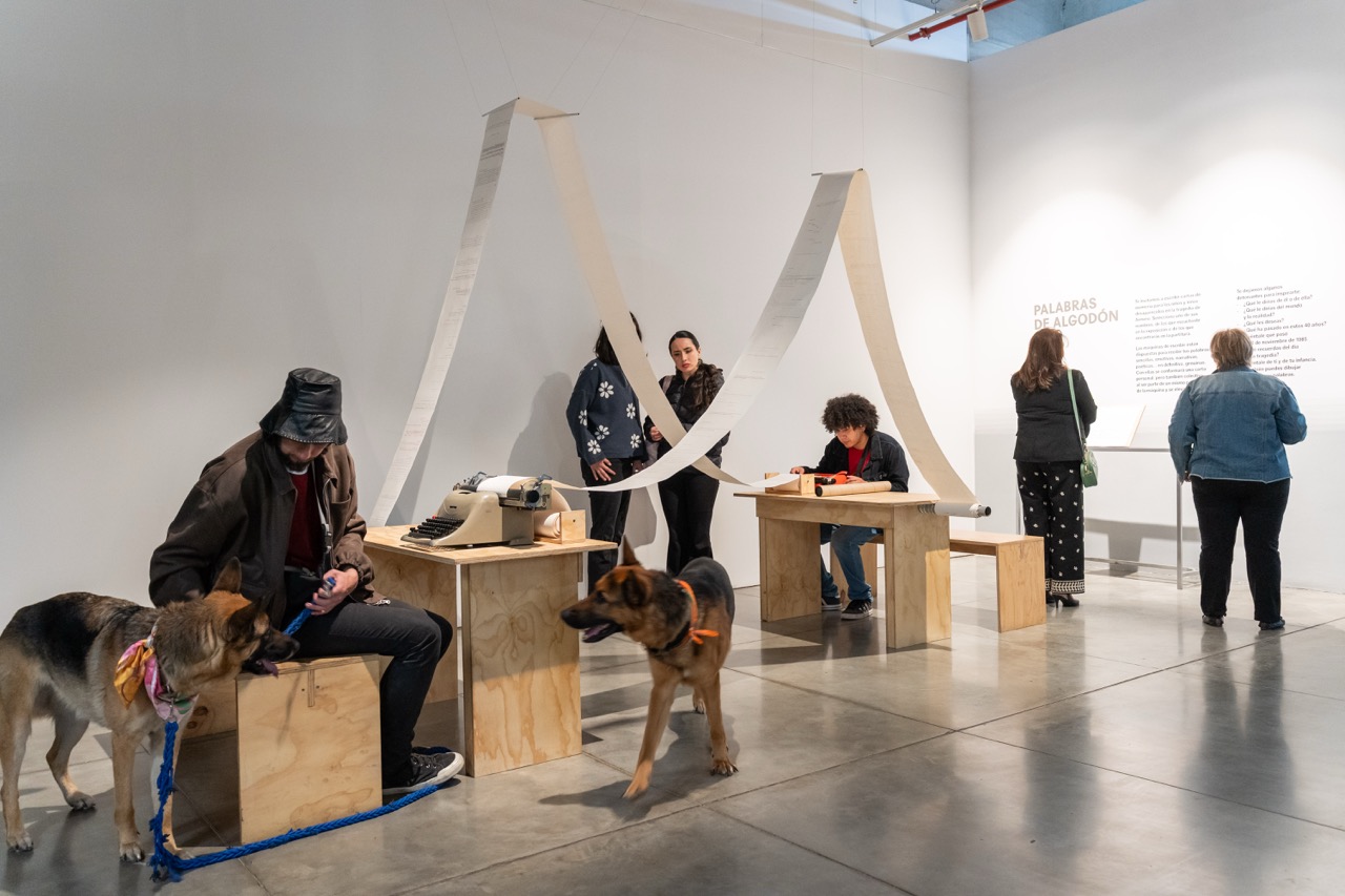 Ningún lugar a donde ir Visita comentada