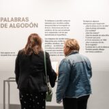 Ningún lugar a donde ir Visita comentada