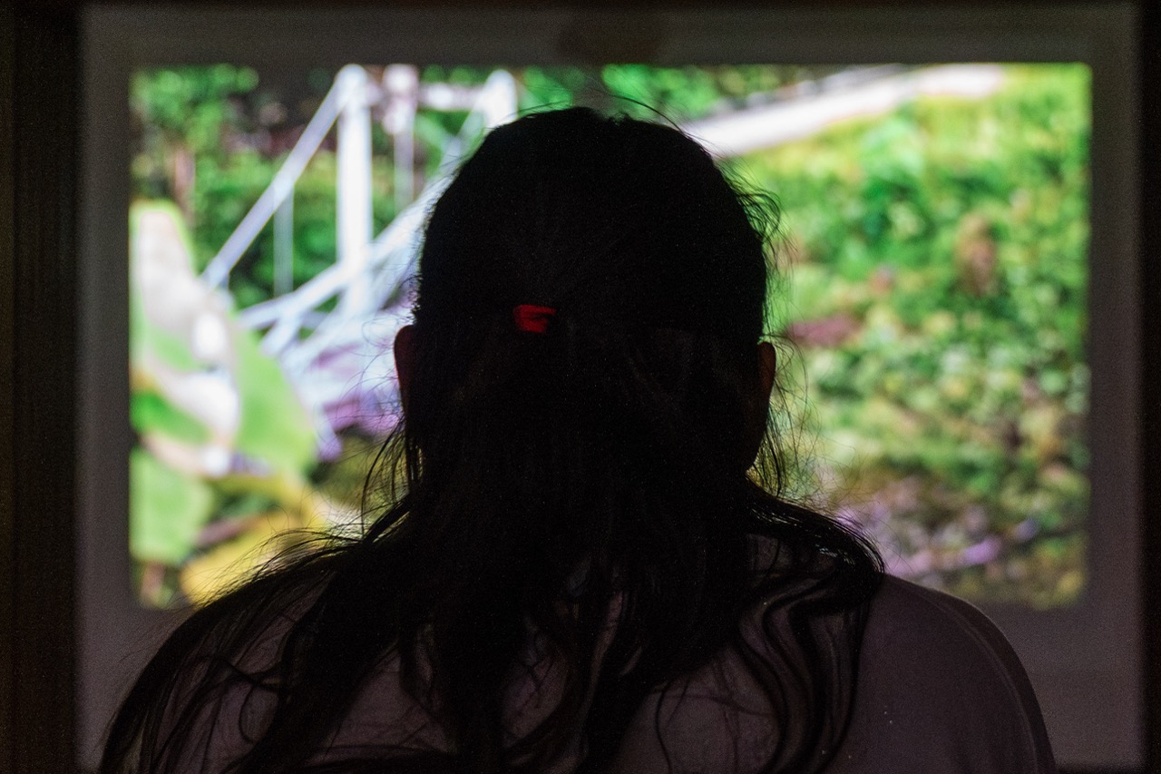 Los fines de los mundos Ciclo de cine